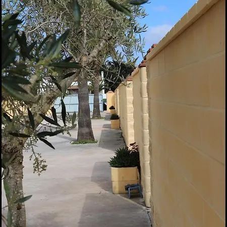 Complejo Iii